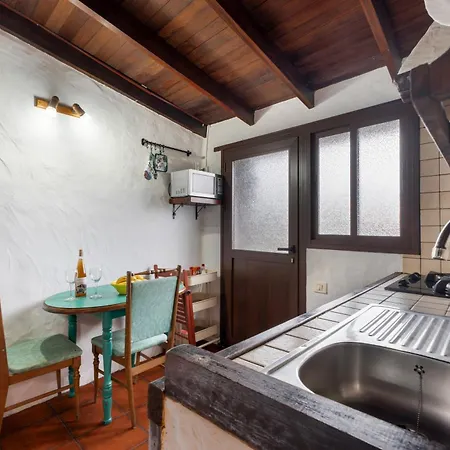 Tesbabo Rural - Camelia Apartment Mocanal
